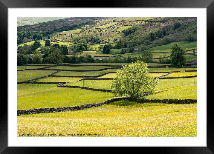 Summer Light on The Wild Flowers in Swaledale Framed Mounted Print by Richard Burdon