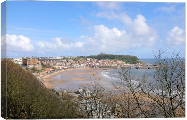 Scarborough South bay at Low tide in April.  Canvas Print by john hill