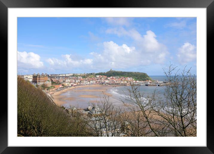Scarborough South bay at Low tide in April.  Framed Mounted Print by john hill