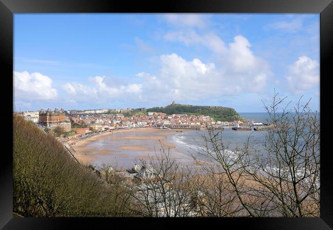 Scarborough South bay at Low tide in April.  Framed Print by john hill