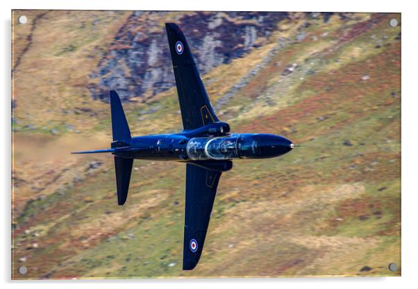RAF Hawk Mk1 Low Level Acrylic by Oxon Images