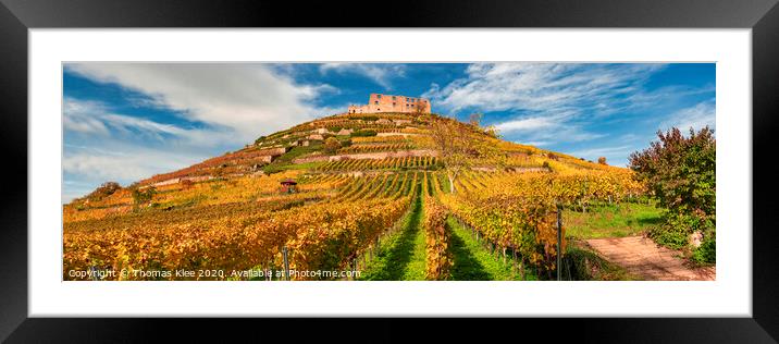 The castle ruin with vineyard in Staufen 2 Framed Mounted Print by Thomas Klee