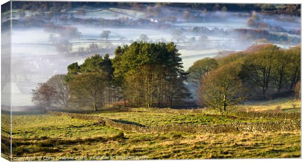 Derwent Valley shrouded in mist Canvas Print by Chris Drabble