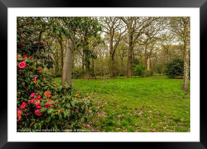 A Walk in the Park Framed Mounted Print by Jane Metters