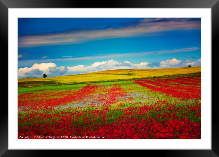 Poppies arranged in rows Framed Mounted Print by Vicente Sargues