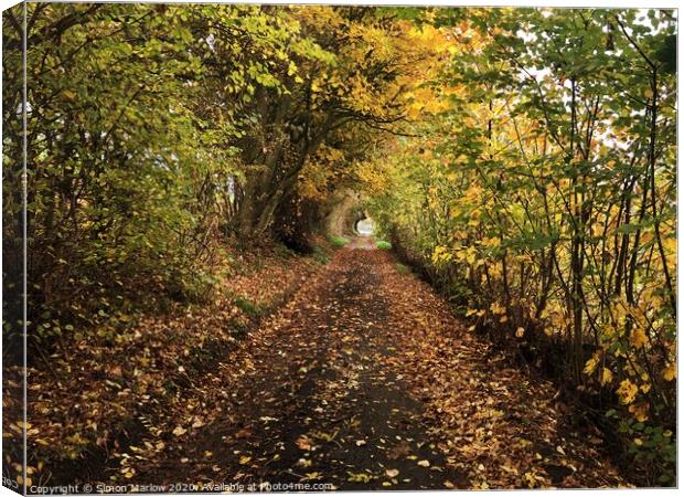 A walk under natures canopy in Shropshire Canvas Print by Simon Marlow