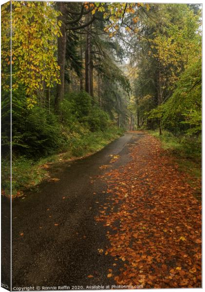 An Autumn Walk In The Rain Canvas Print by Ronnie Reffin
