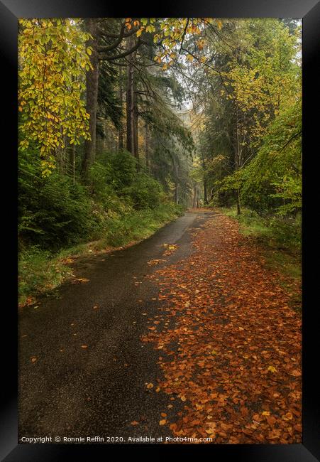 An Autumn Walk In The Rain Framed Print by Ronnie Reffin