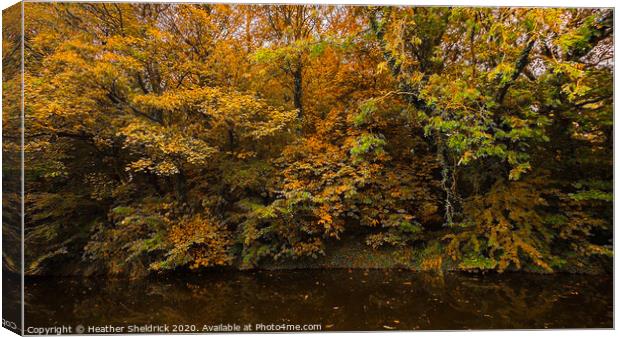 Autumnal trees reflected in canal at Barnoldswick, Canvas Print by Heather Sheldrick
