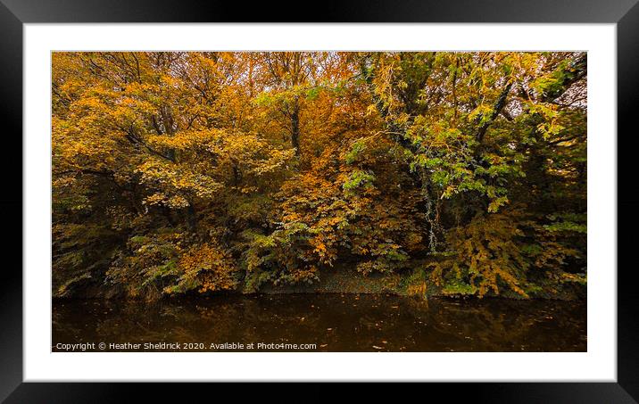 Autumnal trees reflected in canal at Barnoldswick, Framed Mounted Print by Heather Sheldrick