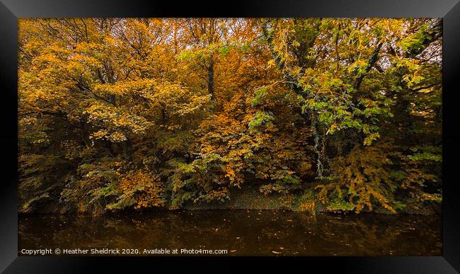 Autumnal trees reflected in canal at Barnoldswick, Framed Print by Heather Sheldrick