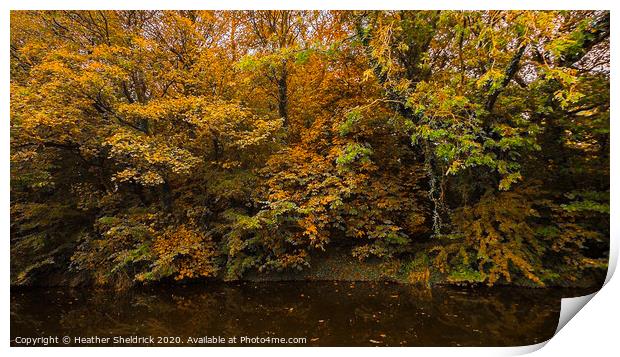 Autumnal trees reflected in canal at Barnoldswick, Print by Heather Sheldrick