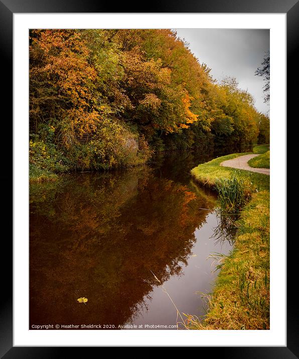 Autumnal trees reflected in canal Framed Mounted Print by Heather Sheldrick