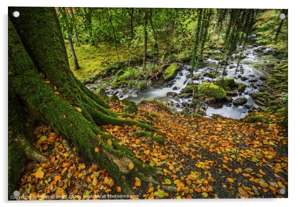 The Torrent Walk in Autumn Acrylic by Heidi Stewart
