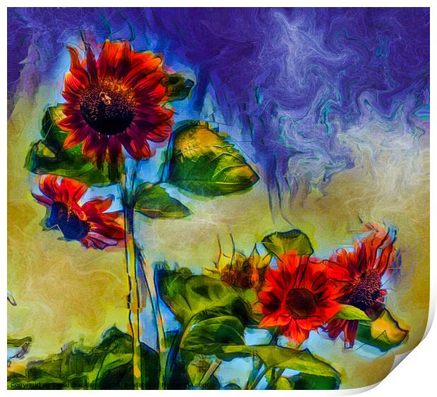 Sunflowers Print by David Buckland