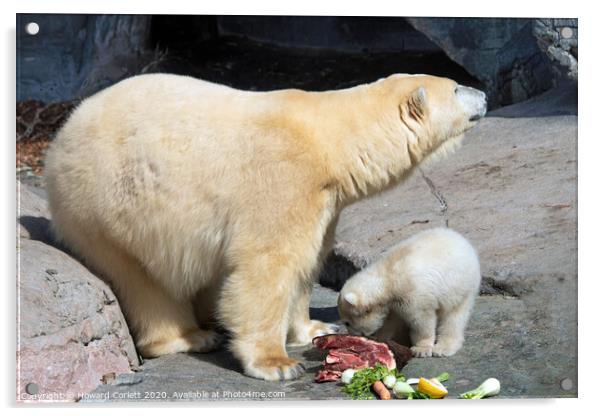 Polar bear feast Acrylic by Howard Corlett