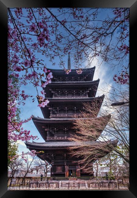 Second Tallest pagoda of japan Framed Print by Yagya Parajuli