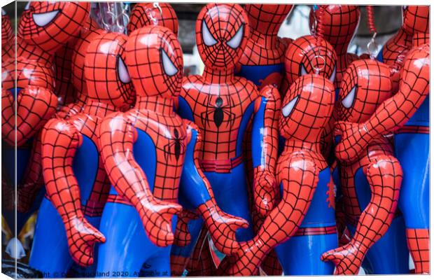 A Cluster Of Spider men. Canvas Print by David Buckland