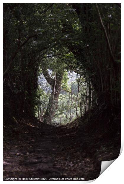Light at the end of the Tunnel Print by Heidi Stewart