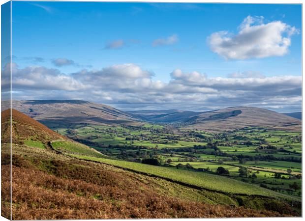 Yorkshire Dales, England. Canvas Print by Colin Allen