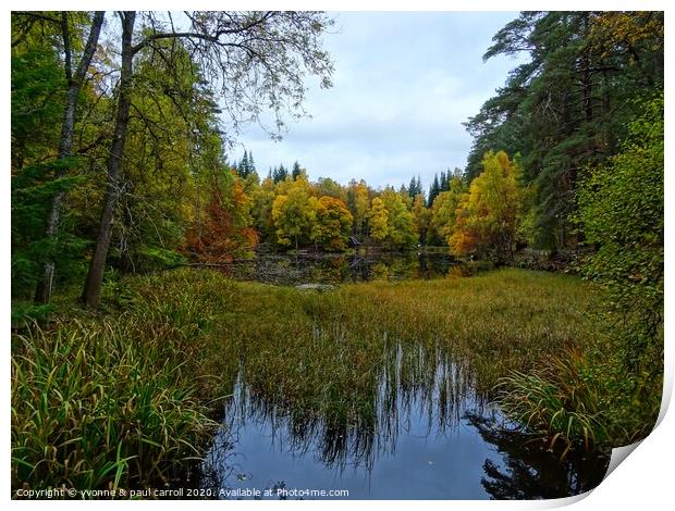 Loch Dunmore in Faskally Forest Print by yvonne & paul carroll