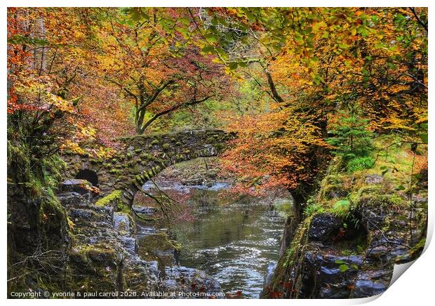 The old bridge over the River Braan  Print by yvonne & paul carroll
