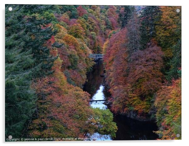 Killiecrankie Gorge Acrylic by yvonne & paul carroll