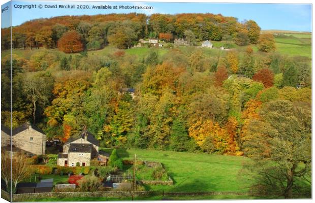 Autumn colour in Calderdale, Yorkshire. Canvas Print by David Birchall