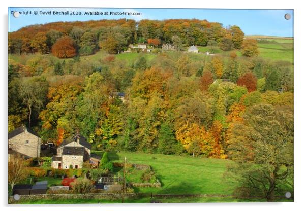 Autumn colour in Calderdale, Yorkshire. Acrylic by David Birchall