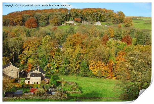 Autumn colour in Calderdale, Yorkshire. Print by David Birchall