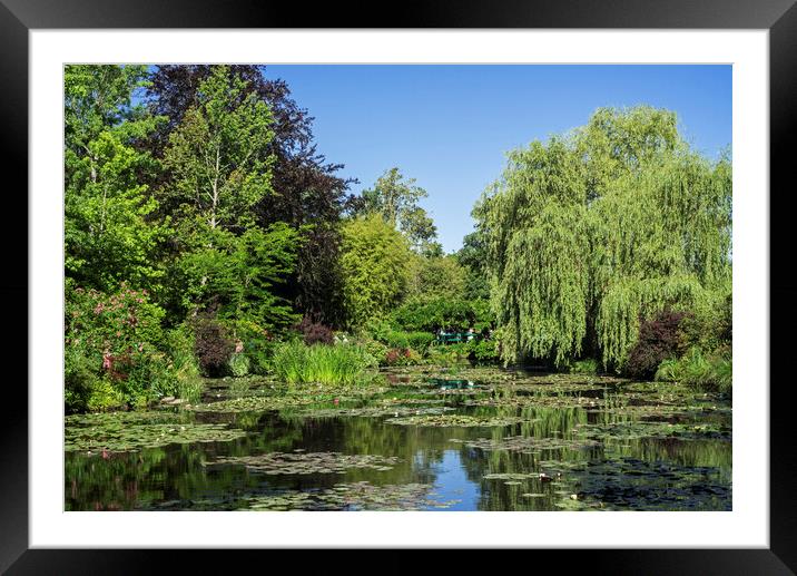 Water Lily Pond in Monet's Garden, Giverny Framed Mounted Print by Arterra 