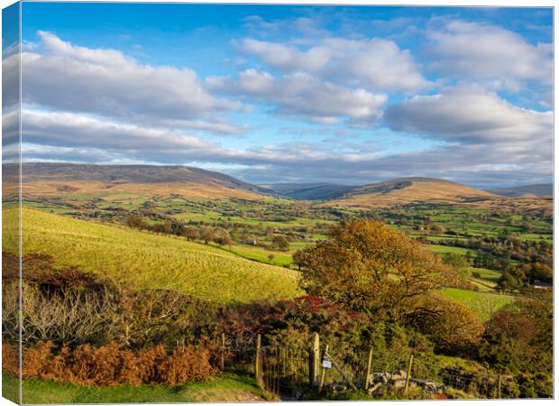 Yorkshire Dales, England. Canvas Print by Colin Allen
