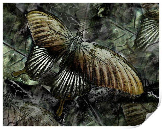 golden butterfly abstract Print by Heather Newton