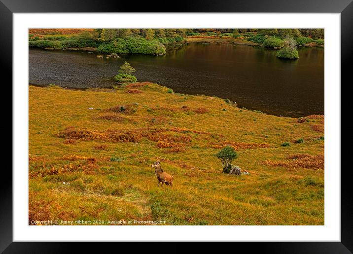 Glenn Etive  and Loch Etive with a Stag in fore ground Framed Mounted Print by Jenny Hibbert