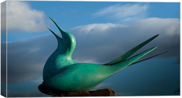 Tern Sculpture Canvas Print by Keith Thorburn EFIAP/b