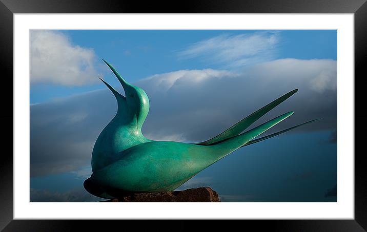Tern Sculpture Framed Mounted Print by Keith Thorburn EFIAP/b