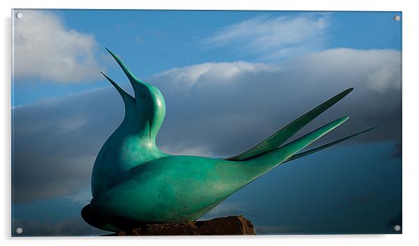 Tern Sculpture Acrylic by Keith Thorburn EFIAP/b