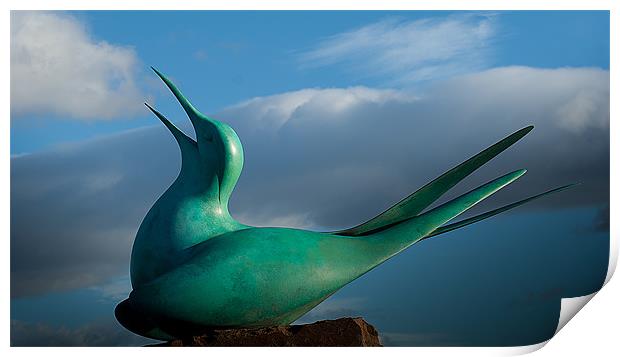 Tern Sculpture Print by Keith Thorburn EFIAP/b