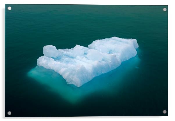 Iceberg Floating in Arctic Sea Acrylic by Arterra 