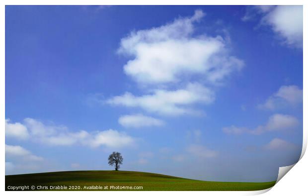 Blue skies over One Tree Hill Print by Chris Drabble