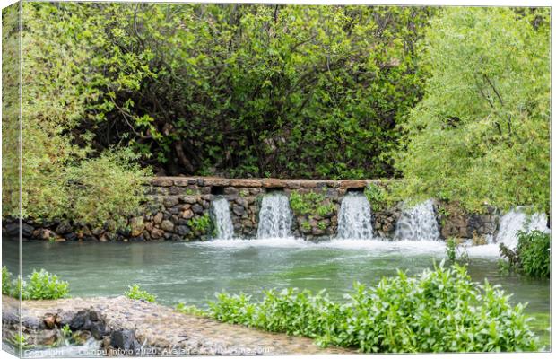 the Banias Spring source of the jordan river Canvas Print by Chris Willemsen