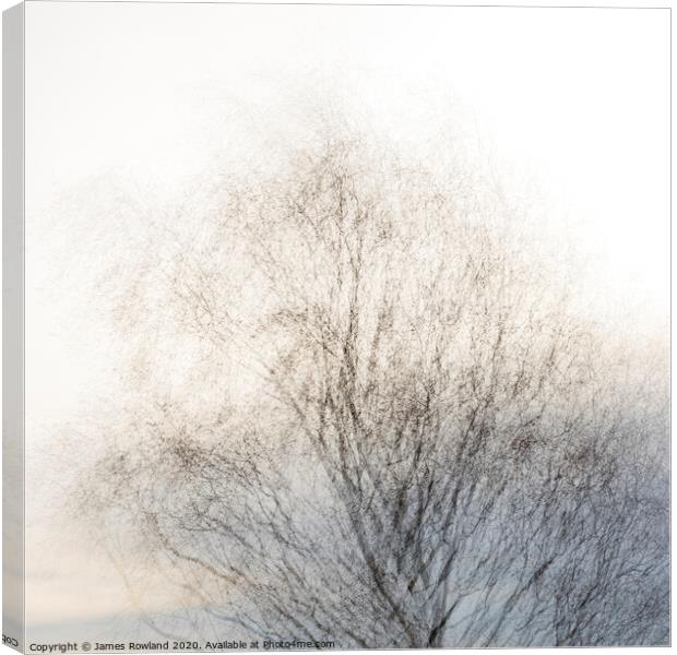 Tree 2 Canvas Print by James Rowland