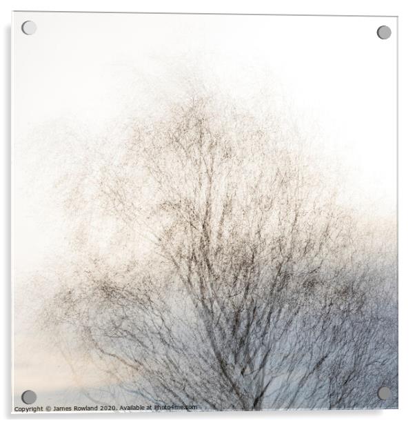 Tree 2 Acrylic by James Rowland