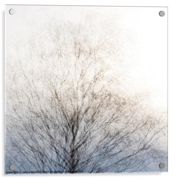 Tree 3 Acrylic by James Rowland