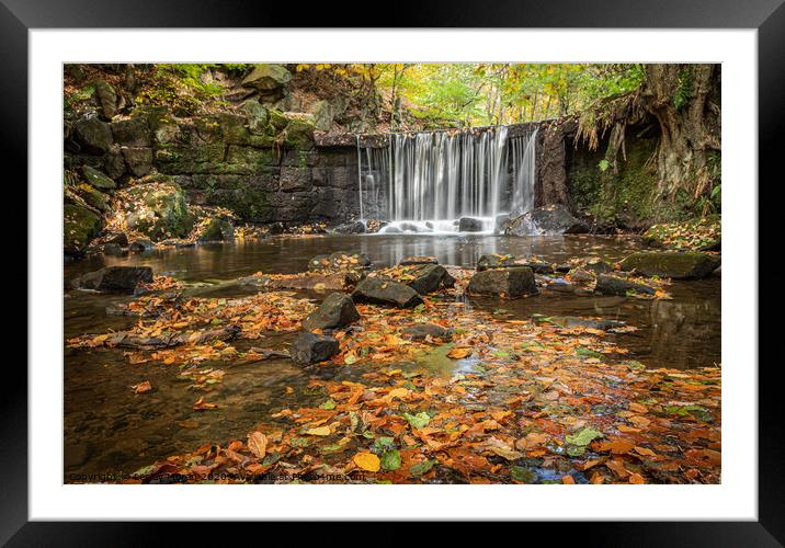 Autumn Waterfall Framed Mounted Print by Lesley Moran