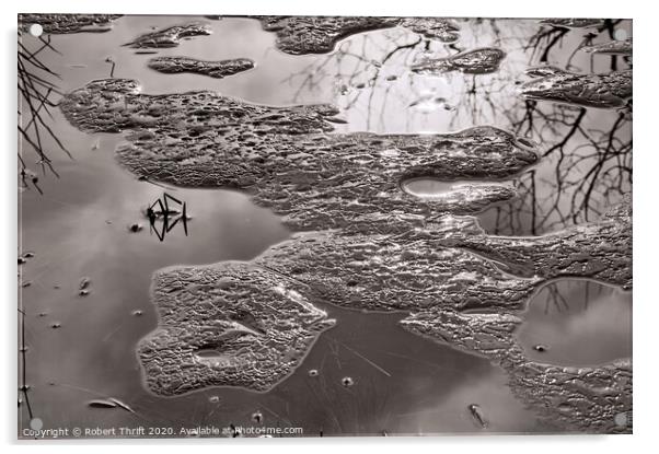 Ice on Moss Eccles Tarn Acrylic by Robert Thrift