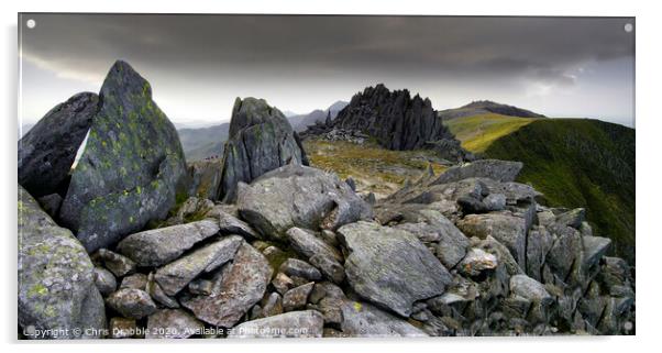 Castle of the Winds, Glyder Fach Acrylic by Chris Drabble