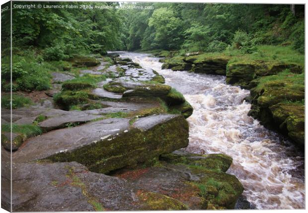 Rapids on The Strid near Bolton Abbey Canvas Print by Laurence Tobin