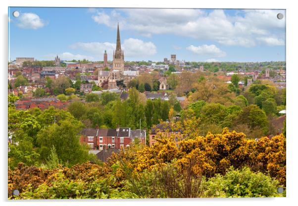 Captivating Norwich Skyline Acrylic by Kevin Snelling