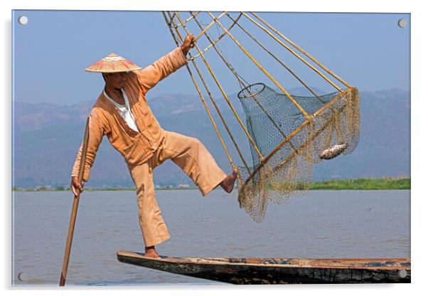 Intha Fisherman on Inle Lake, Myanmar Acrylic by Arterra 